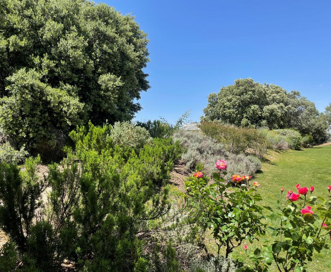 El Encinar De Gabino Villa Zarzuela del Monte Bagian luar foto
