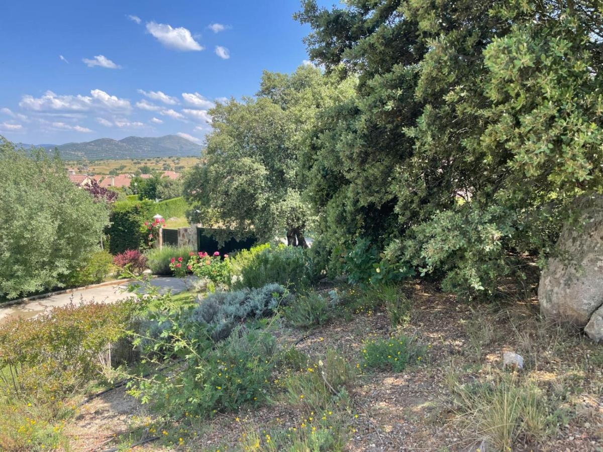 El Encinar De Gabino Villa Zarzuela del Monte Bagian luar foto